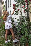 Foto Annunci Incontri Trans Milano Valentina Diamantes 3286996618 - 7