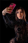 Foto Annunci Incontri Trans Palermo Alejandra Holguin 3314081639 - 83