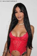 Foto Annunci Incontri Trans Roma Mikaella Pimentell Pornostar 3293410689 - 6