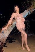 Foto Annunci Incontri Trans Verona Nick Miller 3382945956 - 56