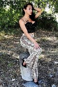 Foto Annunci Incontri Transescort Adriana Paulett 3891399263 - 311