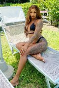 Foto Annunci Incontri Transescort Alba Adriatica Hillary Brasiliana 3384136322 - 43
