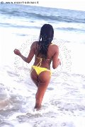 Foto Annunci Incontri Transescort Bologna Naomy Xl 3290167932 - 132
