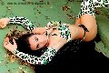 Foto Annunci Incontri Transescort Giussano Bella Solare 3347416269 - 23
