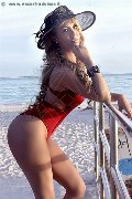Foto Annunci Incontri Transescort Napoli Dafne Pornostar 3801422205 - 176