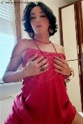 Foto Annunci Incontri Transescort Pordenone Bruna 3520490894 - 1