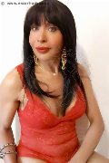 Foto Annunci Incontri Transescort Prato Tain� Oliveira 3285382487 - 50