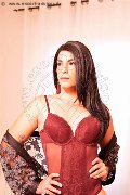 Foto Annunci Incontri Trav Milano Elisa 3512604780 - 52