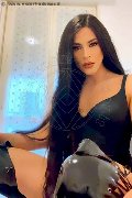 Foto Annunci Incontri Trav Milano Elisa 3512604780 - 15
