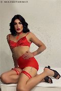 Foto Annunci Incontri Trav Milano Elisa 3512604780 - 6