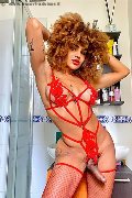 Foto Hot Annunci Incontri Trans Milano Stella 3295563971 - 5