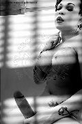 Foto Hot Annunci Incontri Transescort Genova Dior 3472825420 - 140