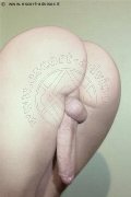 Foto Hot Annunci Incontri Travescort Noventa Di Piave Vanessa Dior 3450405832 - 8