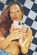 Bologna Trans Naomy Xl 329 01 67 932 foto selfie 4