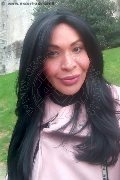 Prato Trans Tain� Oliveira 328 53 82 487 foto selfie 138