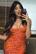 Roma Trans Safina 334 25 85 465 foto selfie 6