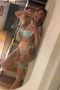 Viareggio Trans Dafne Pornostar 380 14 22 205 foto selfie 31